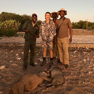 Hunt Warthog in Namibia