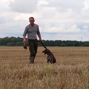 Hunting over a Pointing dog