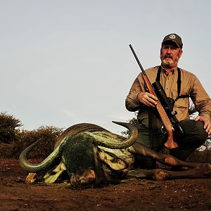 Blue Wildebeest Hunt South Africa