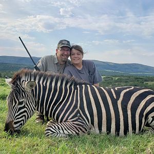 South Africa Hunting Burchell's Plain Zebra