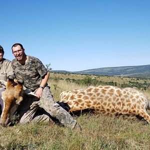 Hunt Giraffe in South Africa