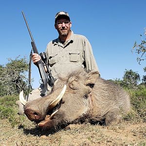 Hunt Warthog in South Africa