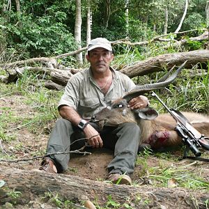 Hunting Gabonese Sitatunga in Gabon