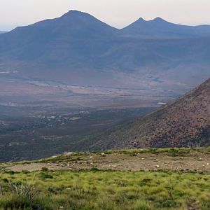 Hunting in South Africa