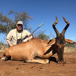 South Africa Hunting Red Hartebeest