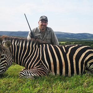 South Africa Hunting Burchell's Plain Zebra