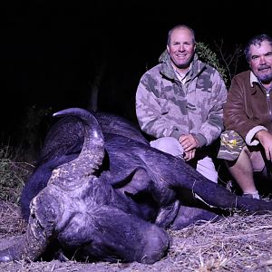 Cape Buffalo Hunting Zimbabwe