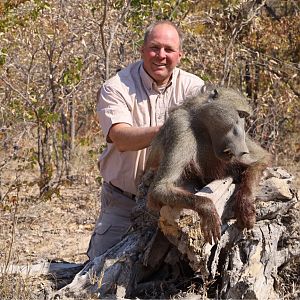 Baboon Hunting Zimbabwe