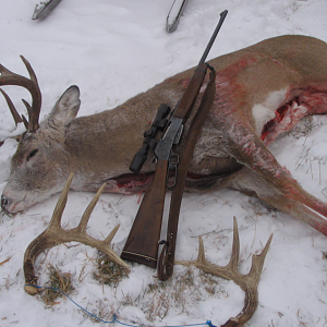 Canada Hunting Deer