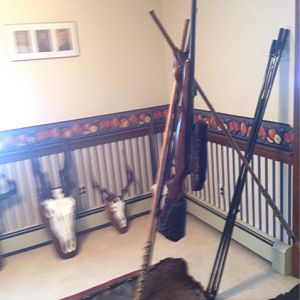 Hunting Rifle & Shooting Sticks