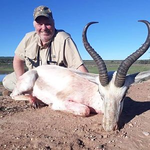 White Springbok 2019