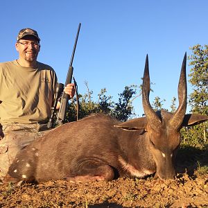 South Africa Hunt Bushbuck