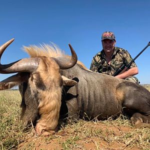 Hunting Kings Wildebeest in South Africa