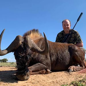 Hunt Black Wildebeest in South Africa