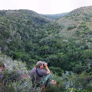 Out looking for Bushbuck