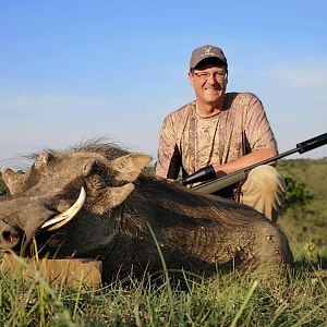 South Africa Hunting Warthog