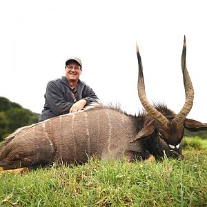 Nyala Hunting South Africa