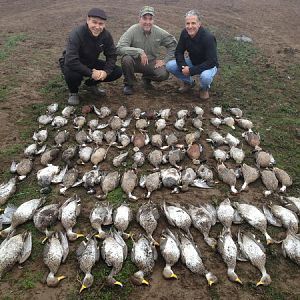 Hunting Duck & Geese in Argentina