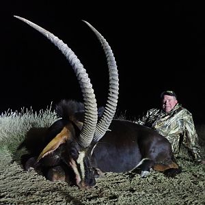 Hunting Sable Antelope