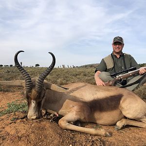 South Africa Hunting Copper Springbok