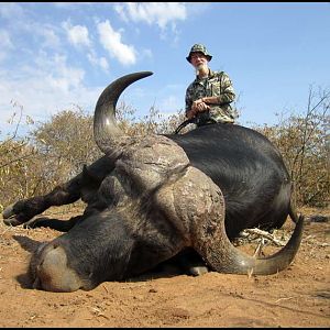 Crossbow Hunt Cape Buffalo in South Africa