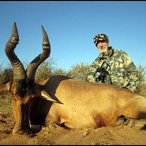South Africa Crossbow Hunting Red Hartebeest