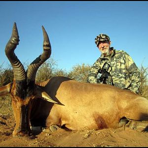 South Africa Crossbow Hunting Red Hartebeest