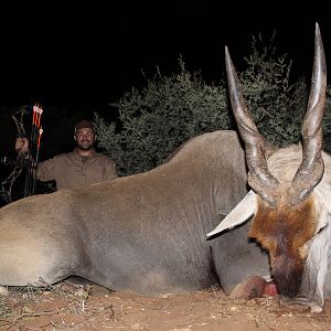 South Africa Bow Hunting Eland