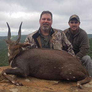 South Africa Hunting Bushbuck