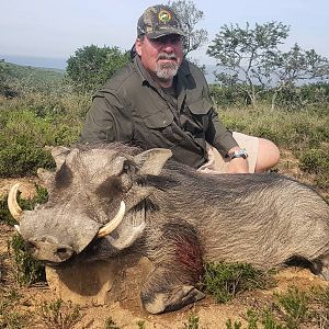 Warthog Hunt South Africa