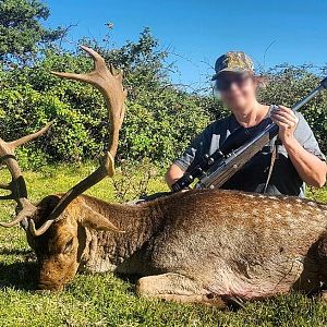 Hunting Fallow Deer in South Africa