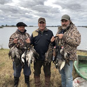 Best Morning - 58 ducks - 10 species