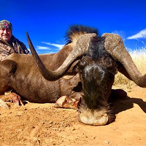 South Africa Hunting Black Wildebeest