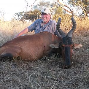 Red Hartebeest Hunting South Africa