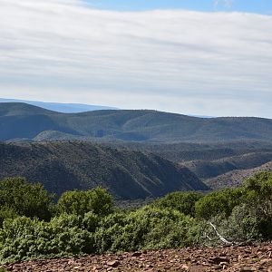 Hunting Area South Africa