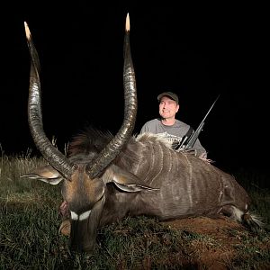South Africa Hunt Nyala