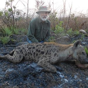 Cameroon Hunt Spotted Hyena