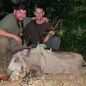 Hunting Wild Boar in Hungary