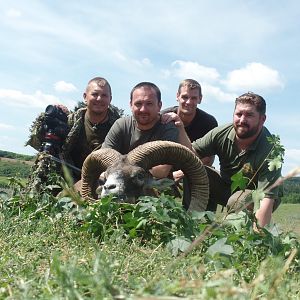 Hungary Hunt Mouflon