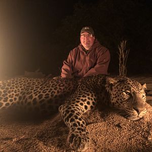 Hunt Leopard in Zimbabwe