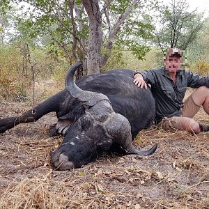 Hunt Buffalo in Namibia