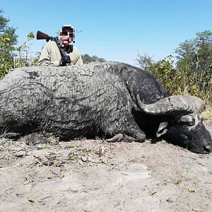 Hunting Buffalo in Namibia