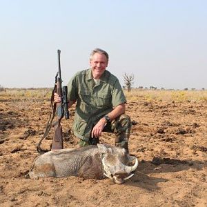 Warthog Hunt Namibia