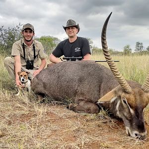 Waterbuck Hunt South Africa