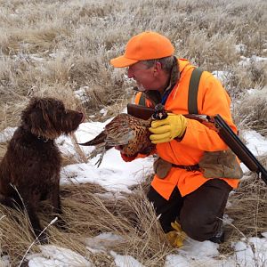 Hunting Pheasant in Canada