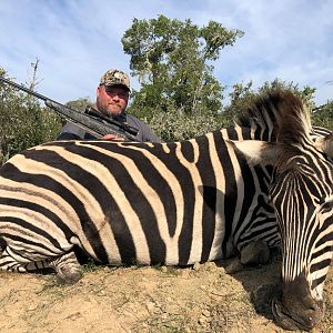 Burchell's Plain Zebra Hunting South Africa