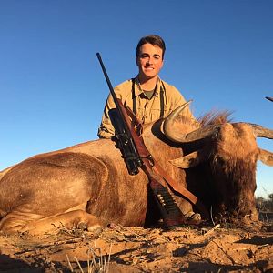 Golden Wildebeest Hunt South Africa