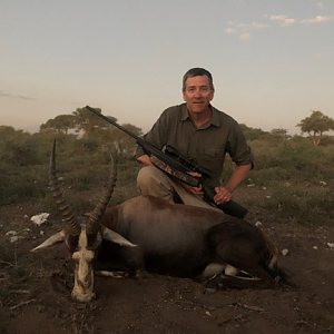 Hunt Blesbok in South Africa