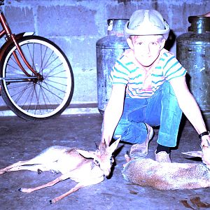 Kirk's Dik-dik Hunt Tanzania during 60's