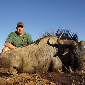 Hunt Blue Wildebeest in Namibia